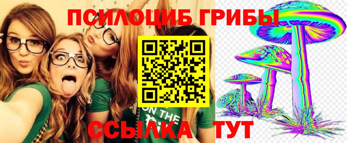 Галлюциногенные грибы Psilocybine cubensis  Вход с VPN  где купить наркоту  Кашира 